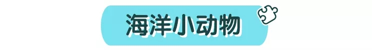 做手工：和宝宝动手做可爱的小动物