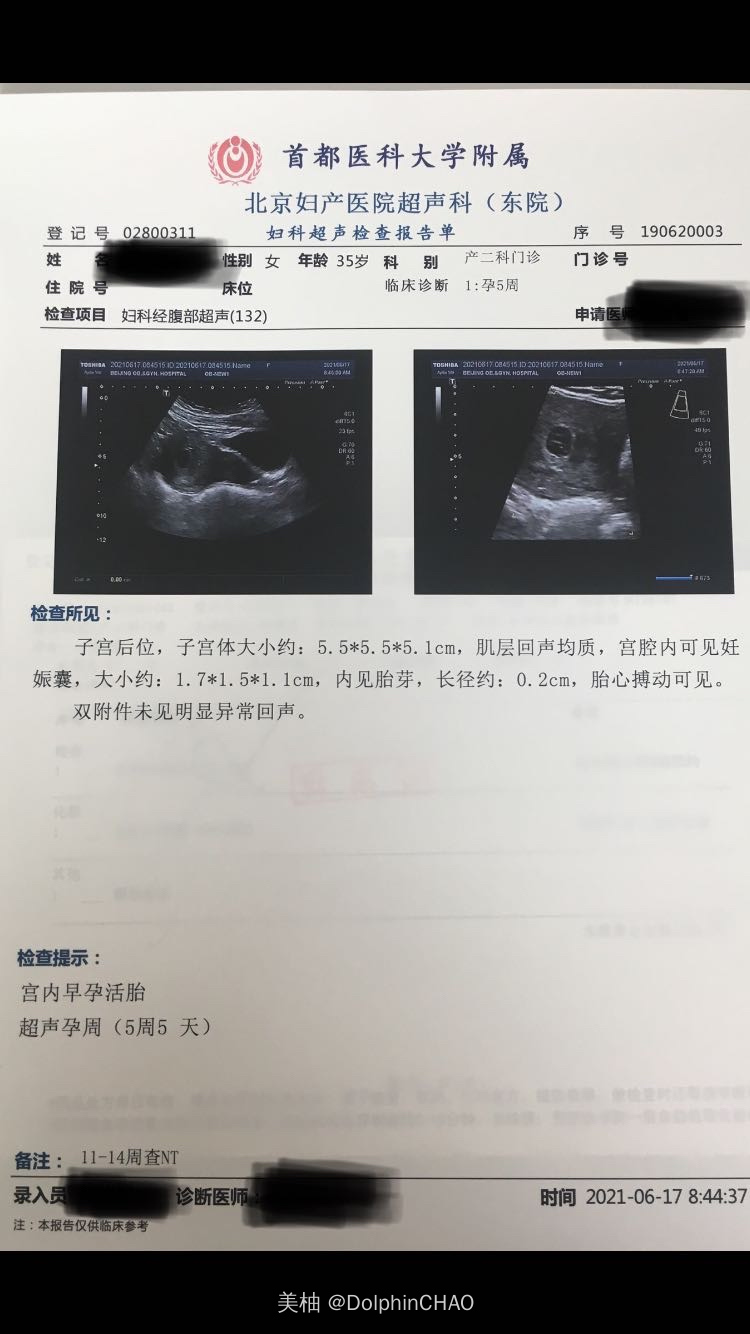 新鲜的热乎乎的胎芽胎心