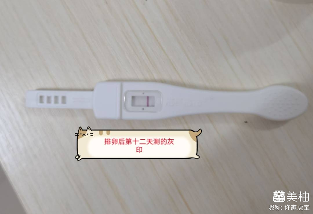 中了中了！！！！