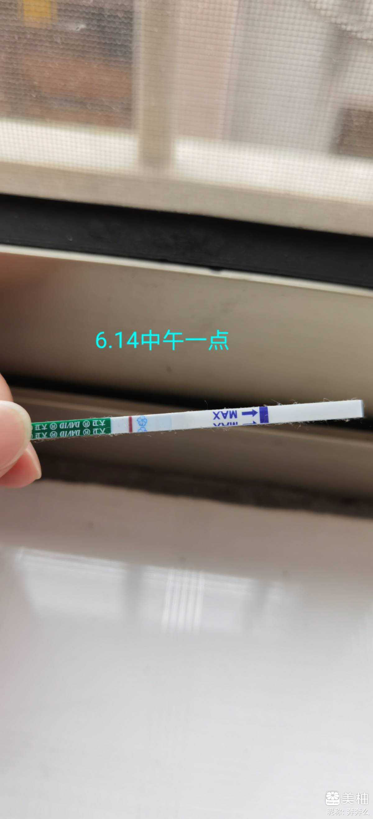 6月4日排卵，排卵的第12天，高冷的大卫粉红了