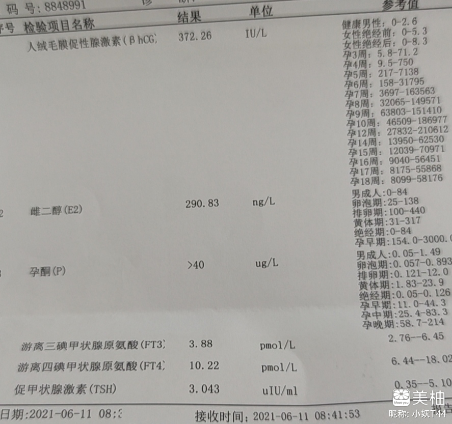 正月虎宝宝来了