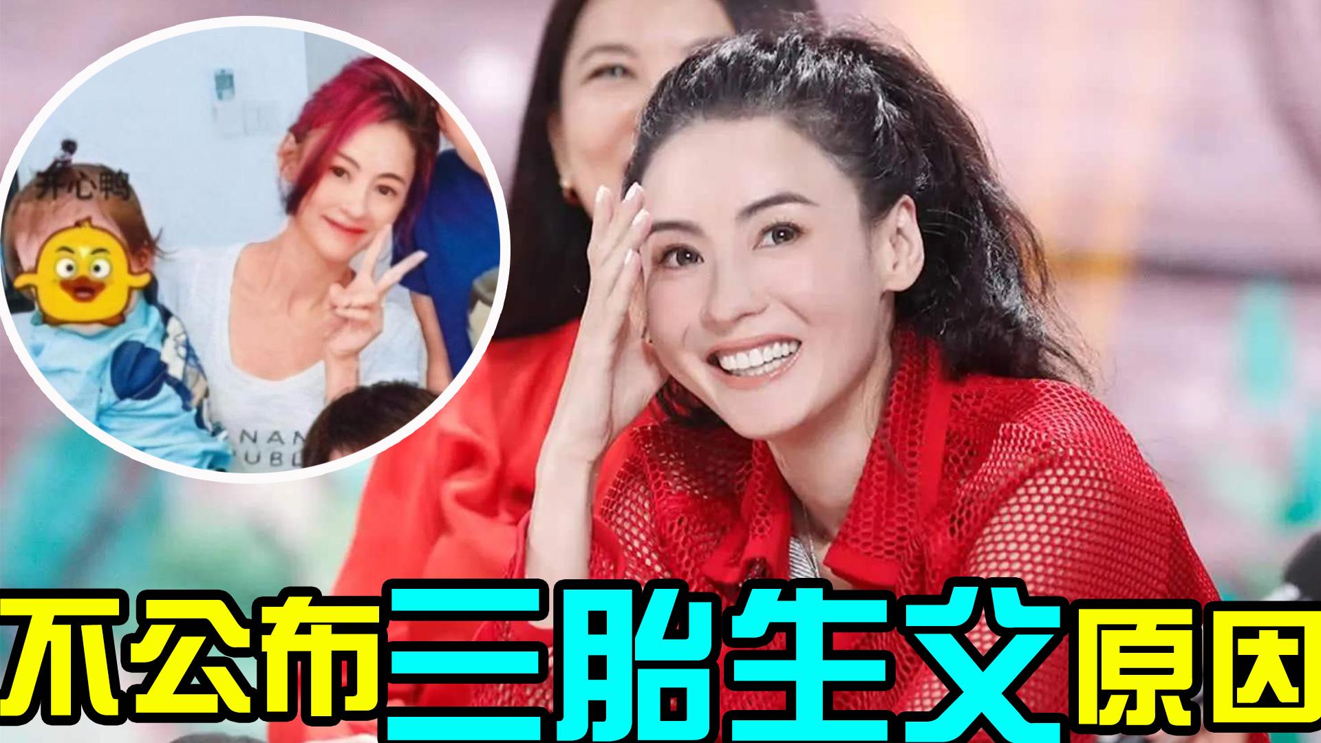 张柏芝生三胎了吗?谢霆锋回应:扑朔迷离