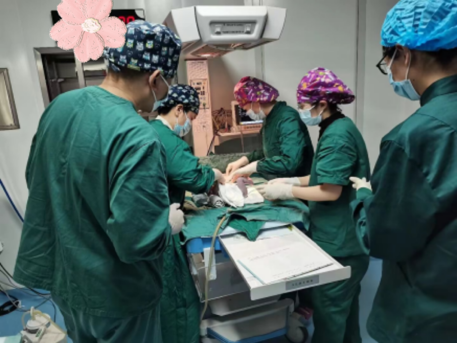 贵妃生子延产灌羊水孕中孕_怎样孕产更健康_涟韵吧之孕中孕延产