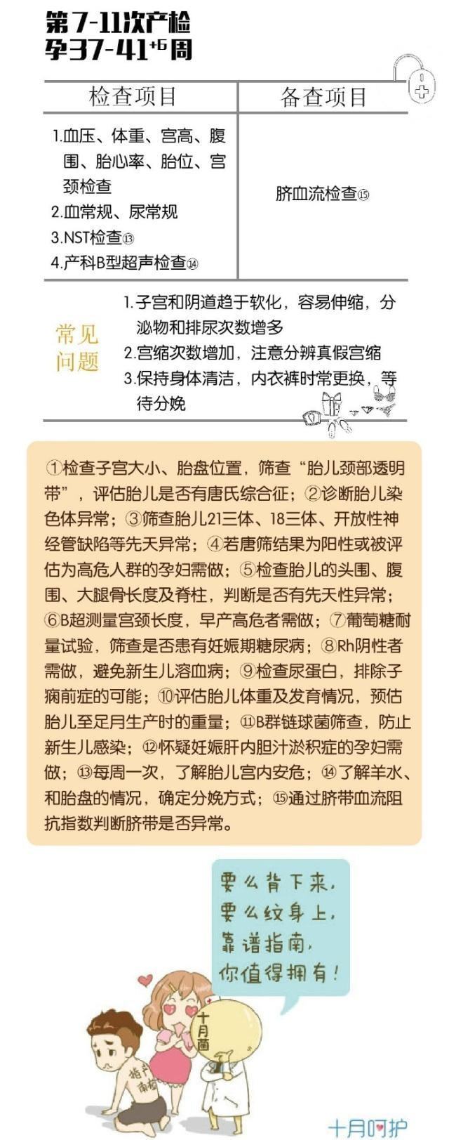 初孕检查报告单图片_大肚延产多胎孕中孕文_孕产检查时间表图片