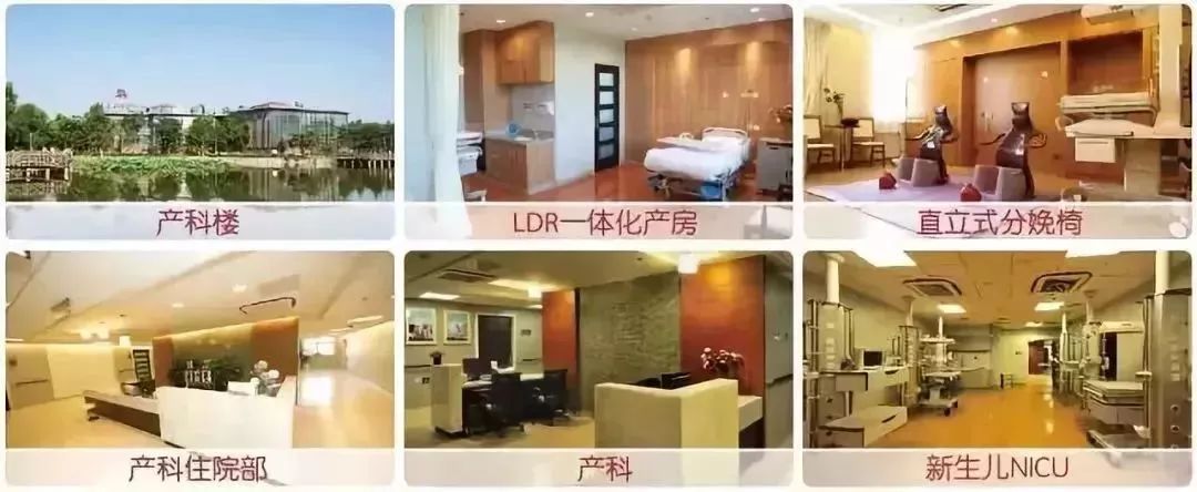 怀孕优生保健百科：孕产营养保健大全_孕1产0是指现在怀孕吗_怀孕虐孕延产