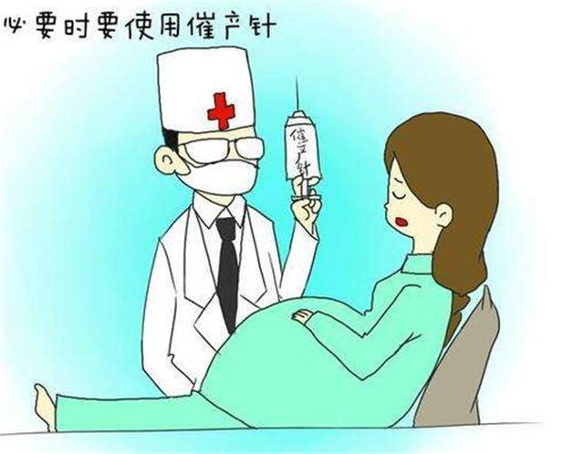 男恋孕虐孕多胎孕中孕胎中胎延产_宝宝识字早聪明吗_王琪完美孕产一本通^^^第一次做妈妈^^^0~3岁聪明宝宝早