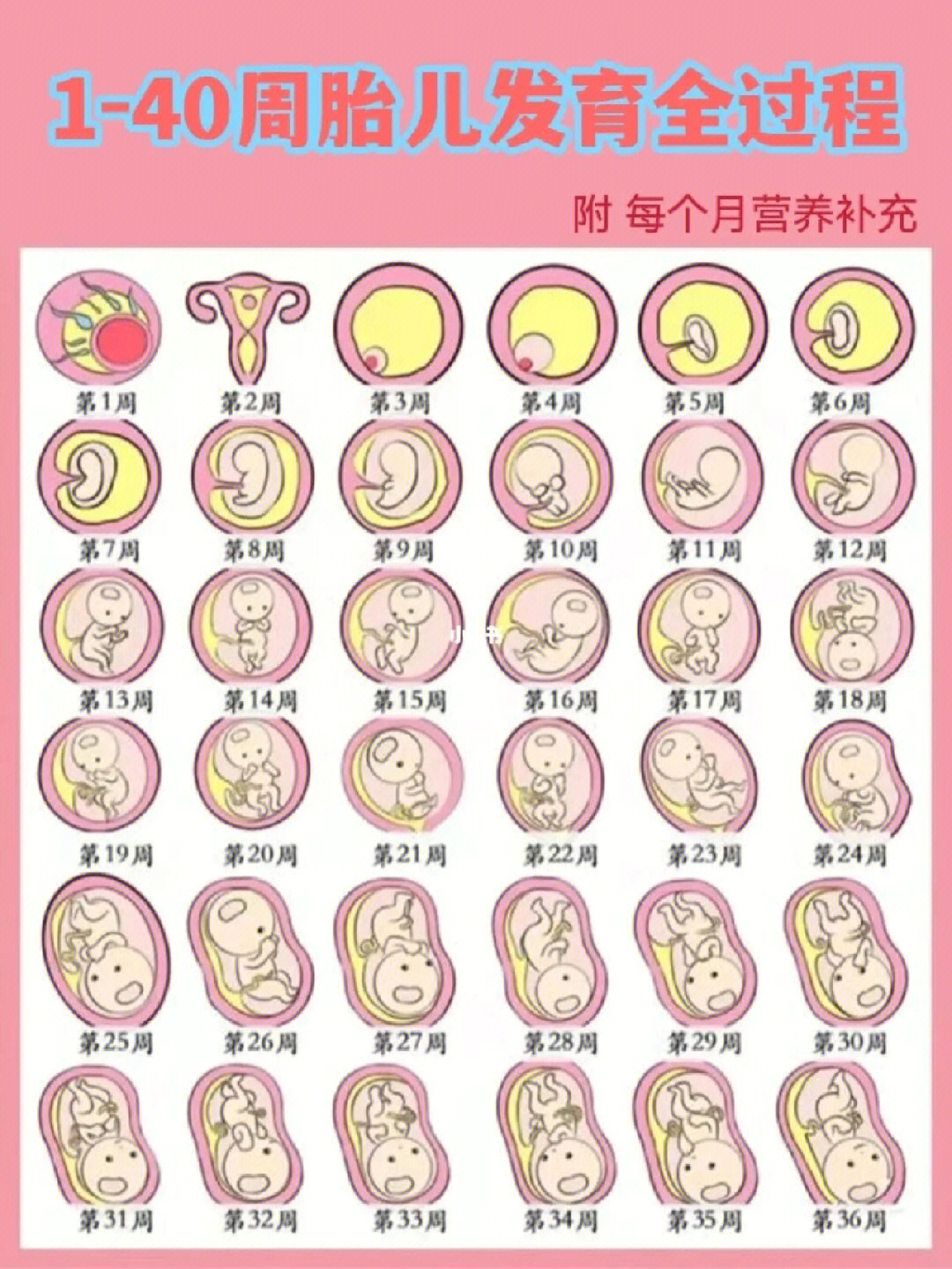 40周孕产保健百科_虐孕延产塞回孕狱_孕37周足月了能刨腹产不