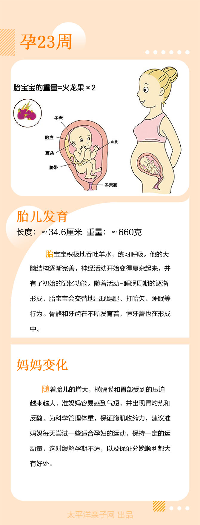 妊娠12周前可根据双顶径推断孕周推算预产期