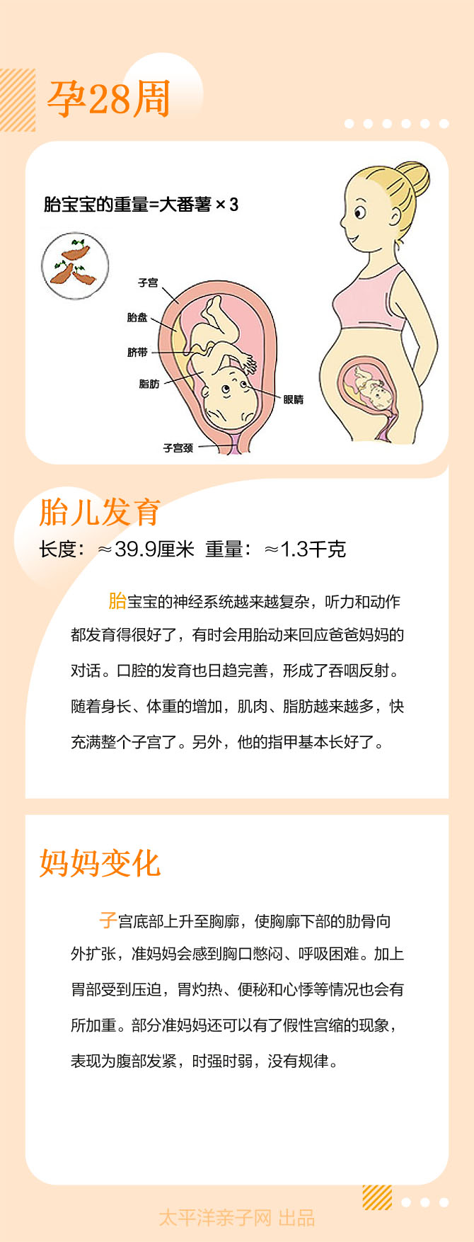 孕28周产检查什么项目_备孕检查有必要检查吗_12孕产检查时间表