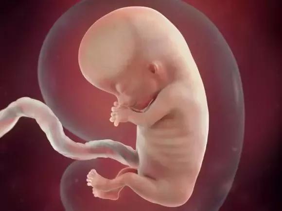 帝王受生子多胎孕中孕廷产_孕产彩超检查时间表_彩超检查胎儿比实际孕周大