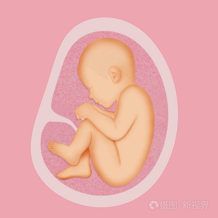 帝王受生子多胎孕中孕廷产_彩超检查胎儿比实际孕周大_孕产彩超检查时间表
