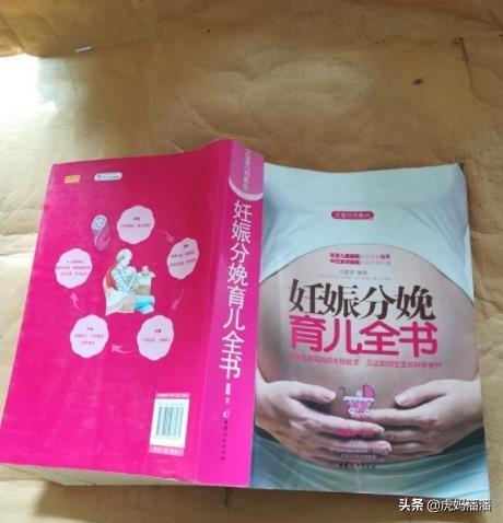 孕产育儿全书_大肚延产多胎孕中孕文_育儿全书
