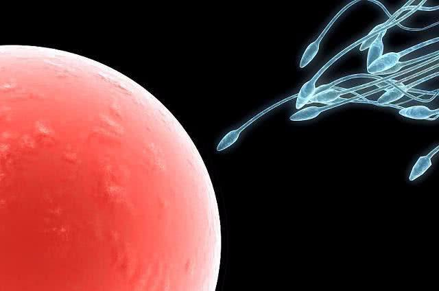 代孕夫腐书网_深圳代孕产子网_深圳代孕价格