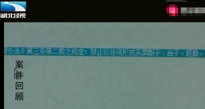 深圳代孕产子网_深圳代孕价格_代孕夫腐书网