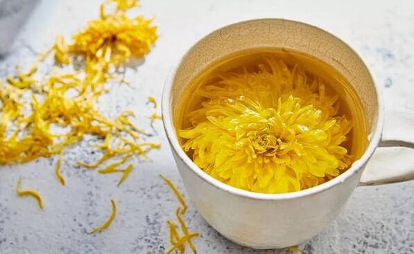 经期能喝菊花茶吗